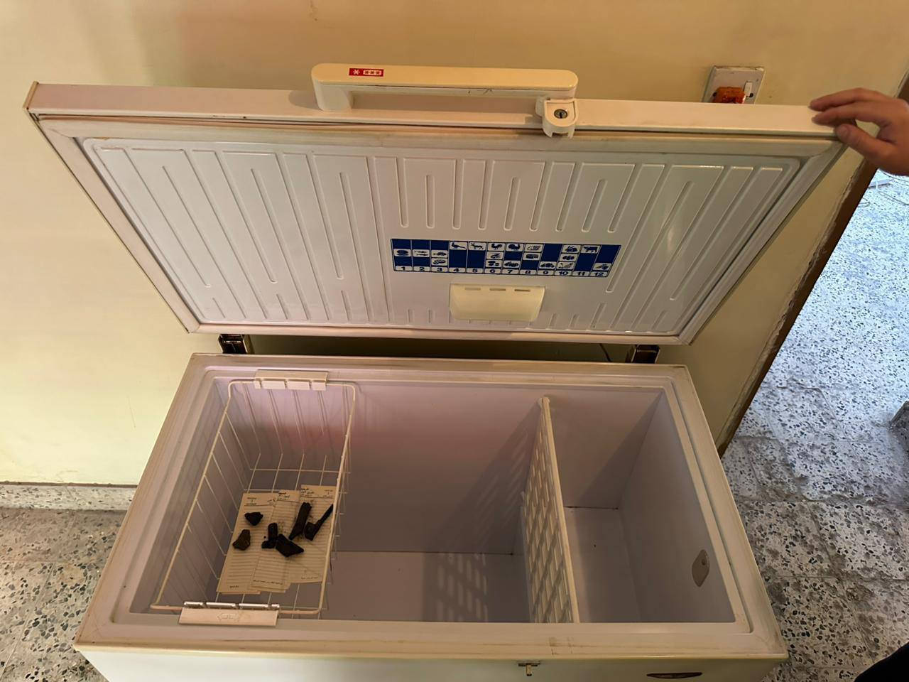 مجمده للبيع غير داخله تصليح الاستفسار خاص


**إذا كنت صاحب هذا الإعلان وتريد حذفه لأي سبب، رجاءا أرسل رسالة إلى الدعم الفني**