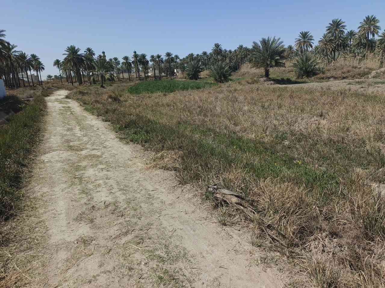 اسلام عليكم اخوان قطعه الرض لبيع دونم و400 متر طابو زراعي سند 25 
شرط التحويل 
مكان الرض قرب حسينيه سيد شاكر مكانه كلش حلوه
مثل ماشوف بل صور  تصلح سكن  او مزرعه    بسعر مناسب 
خدمات كامله استفسار اكثر او السعر اتصال ع ***********                ***********
