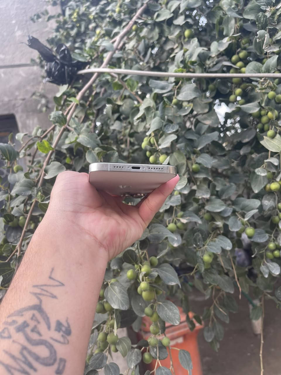 ايفون 12برو ماكس امريكي ذاكـره  /512
البطاريه ٨٠ ببلاديه

عندك فقط الكامره الكامره ٢.٥واكفه بسبب تحديث وال ١x

شغاله طبيعي كامرته تخبل 

تليفون امانة الله مال بيت  ملاحظه تليفون غير داخل صيانه 

افحص وين متريد 

سعره ٥٥٠ وابي مجال بسيط مكاني بابل رقم الهاتف ***********
