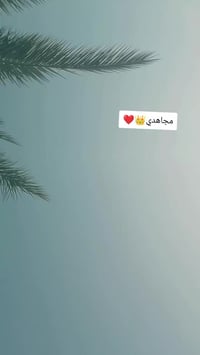 باسكل • حجم ٢٦ • سماوه