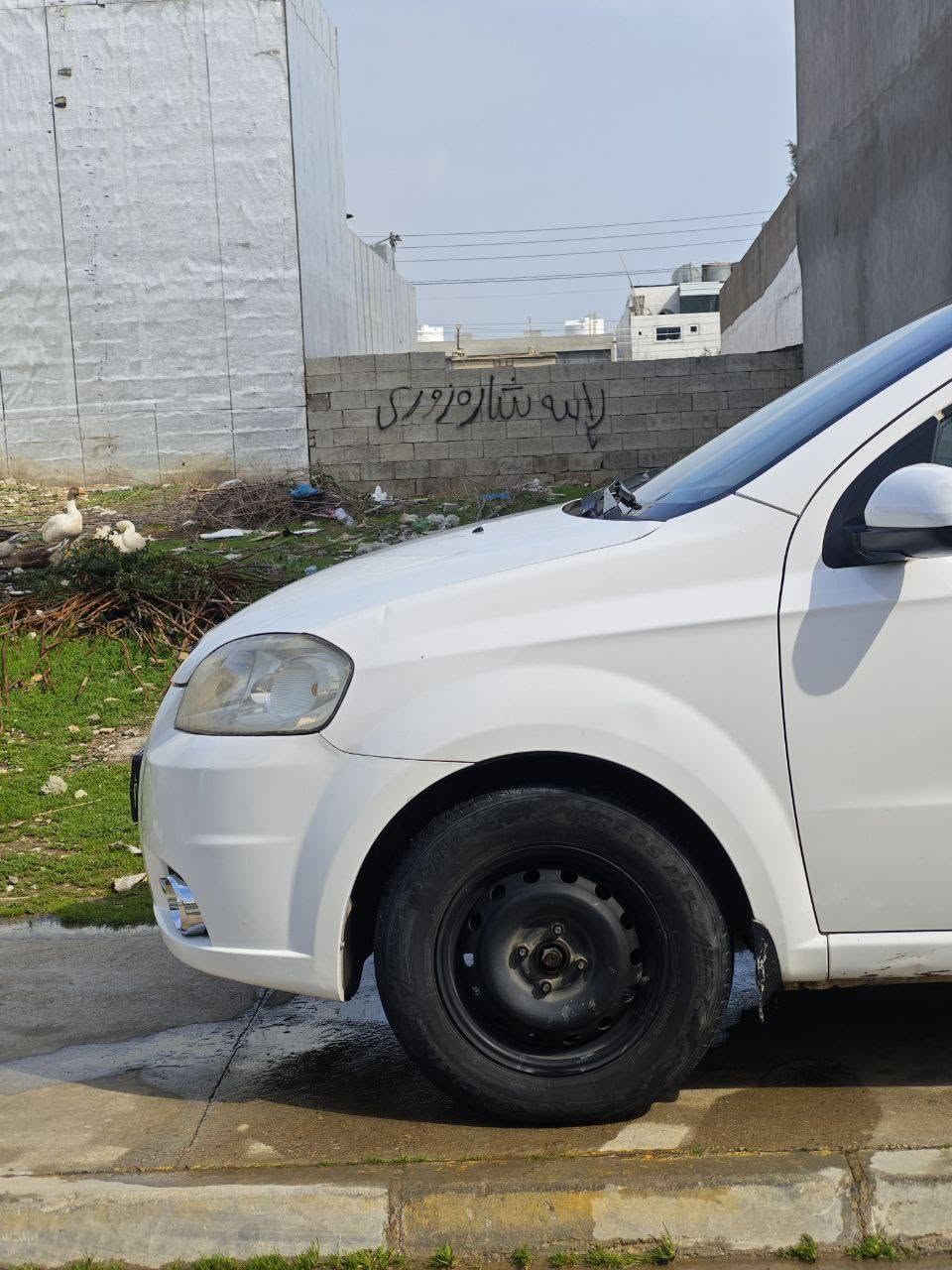 Aveo LS 2009
مەکینە گەورەی تۆماتیک، چوار جام کارەبا، یەک پارچەی بۆیاخە لەسەر ساخی بۆیاخ کراوەتەوە، سەناوی مانگیکە بەسەرچوە، سەیارەکە زۆر پاک و جوان ماوەتەوە، ٦٥ وەرەقە و مامەڵەیەکی کەم

*********** السليمانية, العراق
