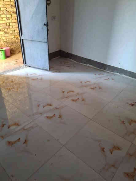 بيت درجه اولى وحديث غرف*********** نوم ٦ صالتين استقبال معزول عن البيت وحده ١٤ متر  جاهز من كلشي طابقين مساحه ٤٠٠ متر ابيع مقدامه  مروس اروس عادي *********** اقصاد عله طريق السنيه اول جسر وطب بل فرع التبليط ملأت الدوره
