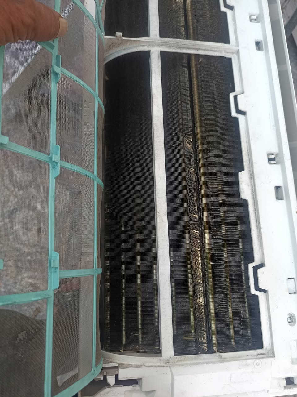 سبلت طن ونص بلاد ماداخل تصليح شرط ...كامل بواري وريمونت سعر 250 قفل عنوان القبله


**إذا كنت صاحب هذا الإعلان وتريد حذفه لأي سبب، رجاءا أرسل رسالة إلى الدعم الفني**