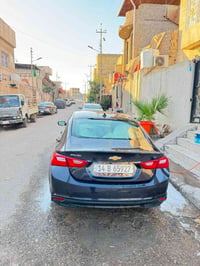 ماليبو • ٢٠٢٣ • البصرة