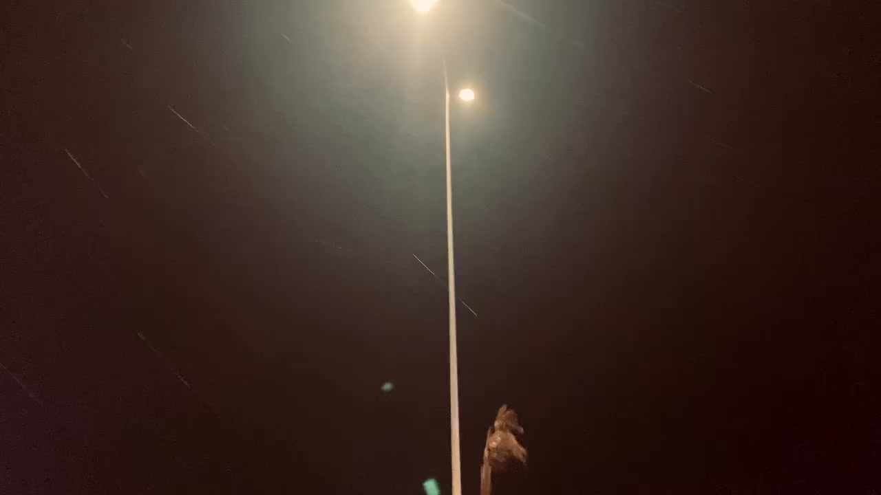 السلام عليكم
سوناتا امريكي كلين تايتل 

2013

ماشيه 100 

سياره مكفوله من دعاميه لدعاميه 

مراوس فقط جيب من2011الـ2013

للاستفسار الاتصال ***********
