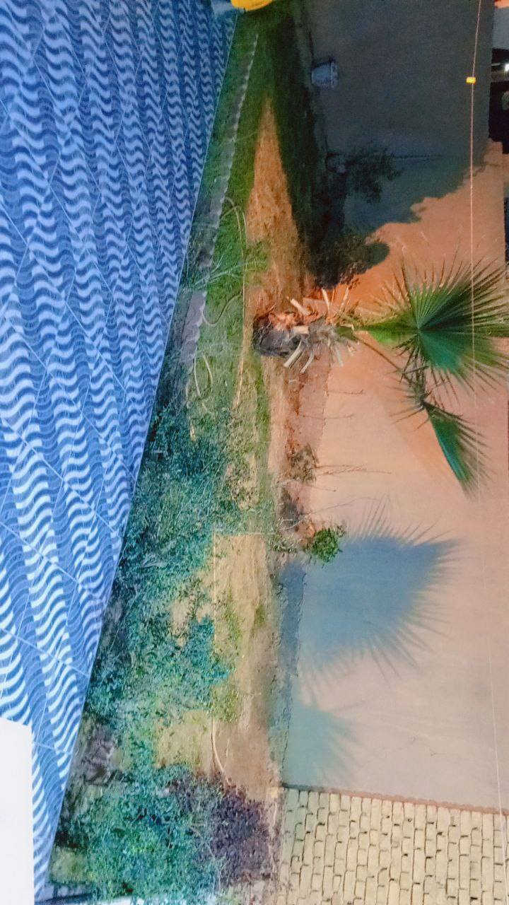 دار سكن للبيع في منطقة الفلاحيه ركن تقع على شارع سايدين عرض الشارع ٣٠ متر وشارع ١٥ متر مقابل مستشفى الكرامه مساحة الدار ٣٥٠متر ركن بناء حديث طابقين للاستفسار الاتصال على الرقم ***********
