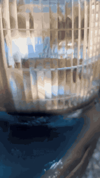 سلام عليكم كيا فونتيرا للبيع موديل 1997 رقم ديالى انكليزي سنويه ل 31 مكينه بيها خيط بخار كير اكسل شاصي كله نضيف رقم شاصي كهربائيّ شغاله بلاديه ماببها صبغ ولا ضربه 
سعرها 52 وبيها مجال مكاني ديالى بعقوبه محجر مو  وياها ***********
