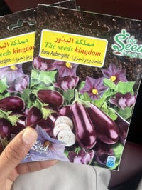 بذور ريحان • بذور باذنجان • جملة ومفرد