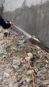 اختر الاحترافية والتميز مع مكتب الشارقة الزراعي لمكافحة حشرة الأرضة وا...