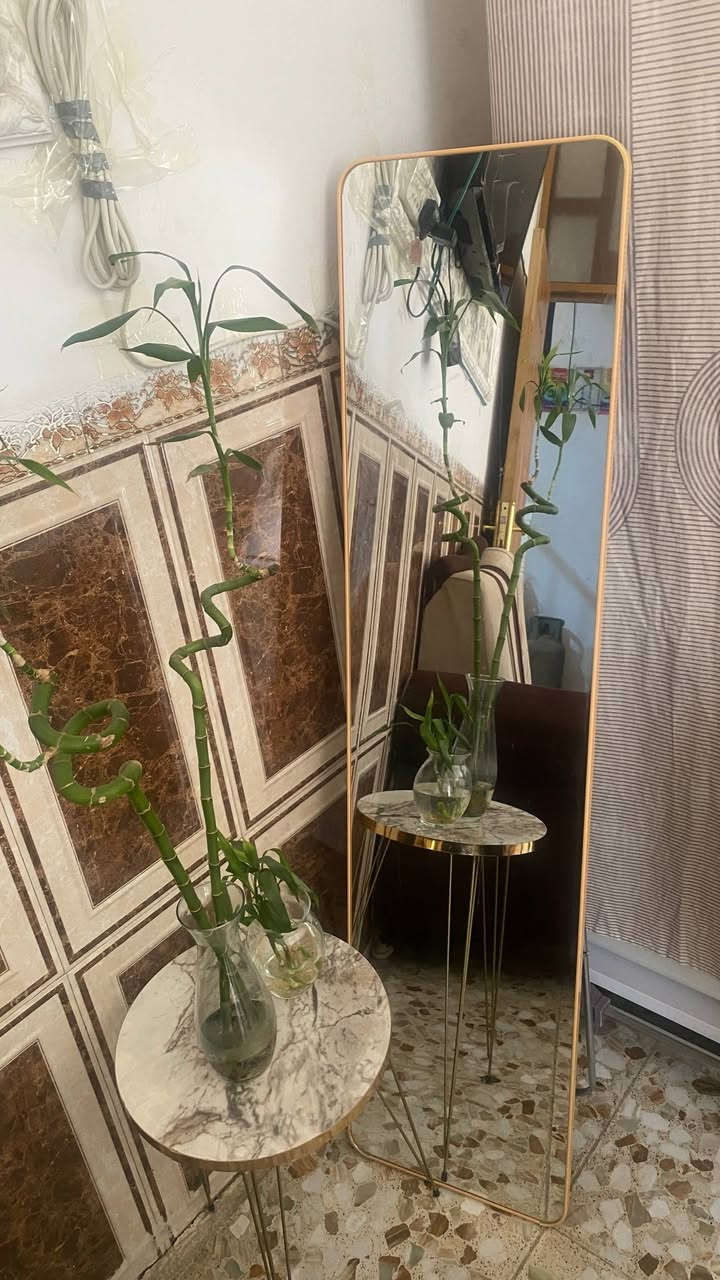 هاي المرايا معروضه للبيع سعره بس ب10
العنوان\الحله \نزله العيد


**إذا كنت صاحب هذا الإعلان وتريد حذفه لأي سبب، رجاءا أرسل رسالة إلى الدعم الفني**
