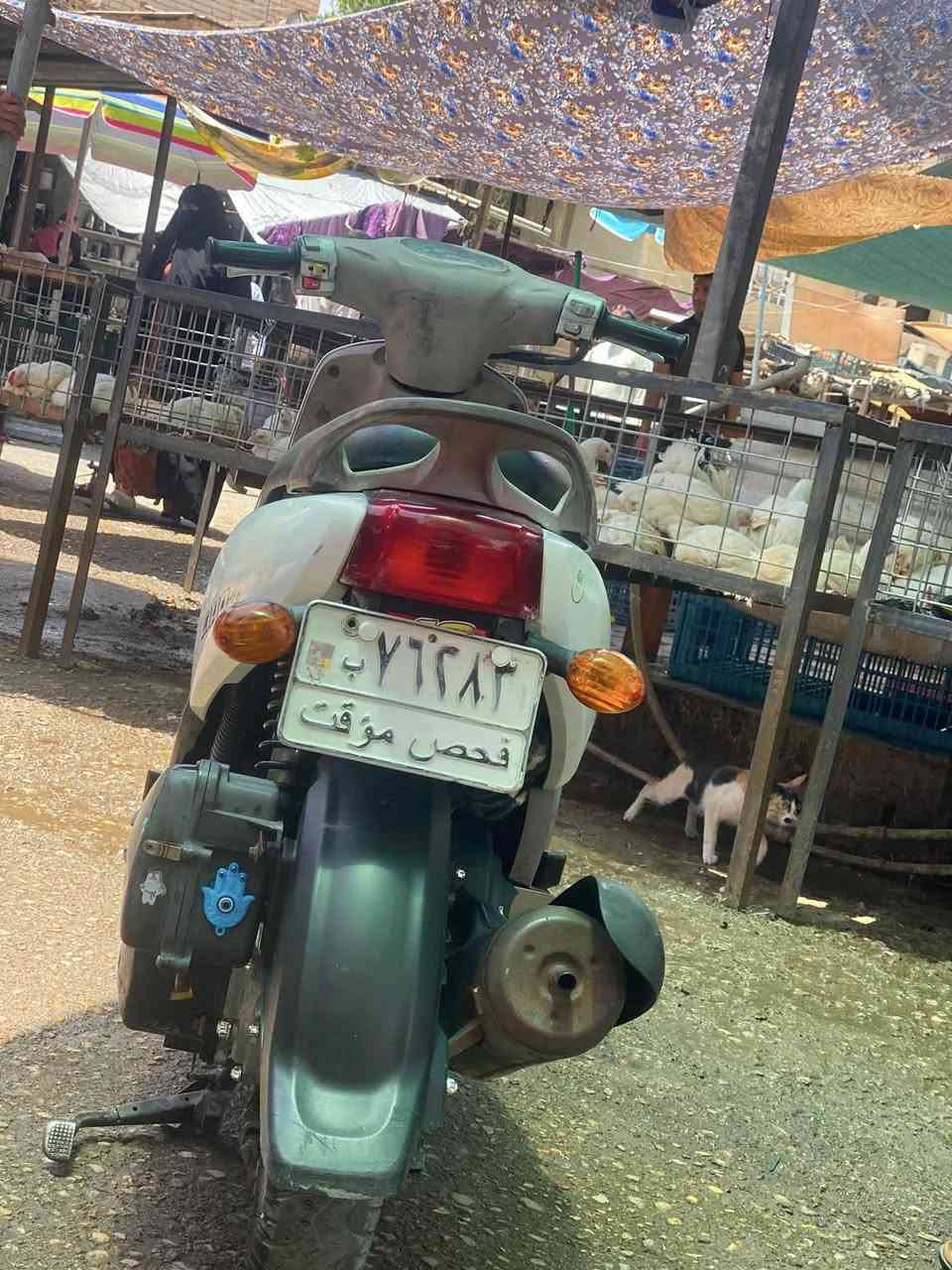 سلام علايكم شبابنه 
دراجه فله لبيع مكفوله من كليش درجه برغي ما مفتوح بيه ولا ملعوب بيه مديل 12سعره 950 مكاني حي الحسين الجديد متواجد وتساب او مازنجر ***********
