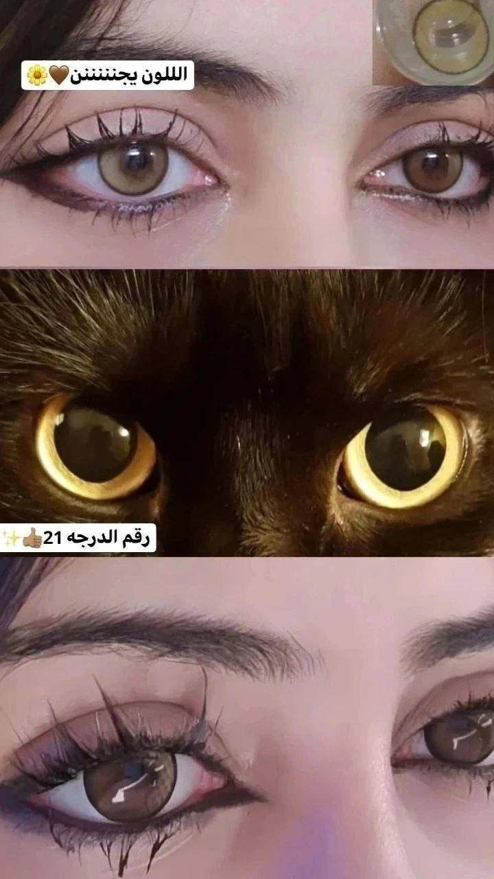 🔥 عرض خرافي لعشاق الجمال 🔥
👁 قطعتين عدسات لونين بـ 15 ألف فقط 😍
🚚 توصيل لكل المحافظات بـ الفين فقط
✨ عدسات سنوية أصلية 💯
✨ ألوان تجنن وتبرز جمال عيونك
✨ راحة وأناقة طوال السنة
لا تفوتين الفرصة 💖 احجزي الآن قبل نفاذ الكمية!
#عدسات #مكياج #كوزمتك #شامبو #كولدن #لمار #ذهب #فريش #توصيل #تخفضيات #عروض #اعراس #بصرة #نجف #كربلاء #محافضات #حنه #عروس #ترند #مشاهير #ستوريات #شعر #منحف #مسمن #شمع #ورد #بيج @إشارة


**إذا كنت صاحب هذا الإعلان وتريد حذفه لأي سبب، رجاءا أرسل رسالة إلى الدعم الفني**