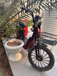 دراجة شحن • متروكة • التنومة الصالحية