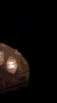 السلام عليكم دراجه بوليس نضافه فول دراجه كلهه ختم واحد وي المكينه داخل رصاصي دراجه شراي يجي خاص للستفسار ***********
