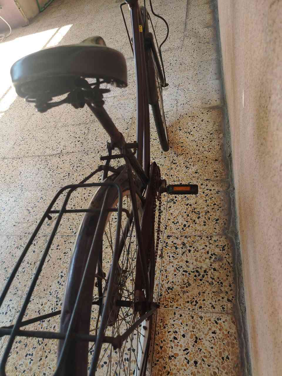 بايسكل للبيع نضيف بي فقط الزنجيل تعبان السعر 60 وبي مجال


**إذا كنت صاحب هذا الإعلان وتريد حذفه لأي سبب، رجاءا أرسل رسالة إلى الدعم الفني**
