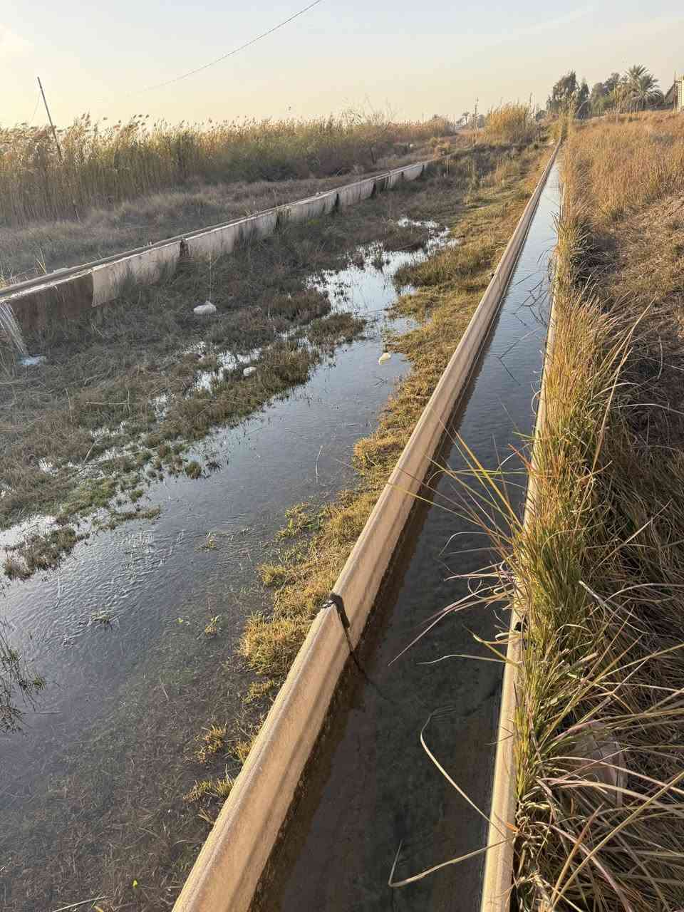 ان شاءالله بداية عام جديد مملوء بالخير والبركة على الجميع 

يعلن مكتب الشارقة للعقار في اليوسفية 

عن توفر دونم بالسند واقع حال دونم ونصف 

مسيج بالكامل وبي دار استراحة 

ومشجر وحديقة وترتيب يليق بالمشتري من اهلنا من بغداد 

متوفر ماء وكهرباء وشارع سبيس 

الموقع بغداد منطقة اليوسفية الشارع الثالث مربع المزارع اخر مربع بالمزارع 

السعر ١٧٥ وبي مجال 

العرض متوفر وخاص لدى مكتب الشارقة فقط 

اخوكم احمد الحمد الراجحي مكتب الشارقة للعقار 

***********
