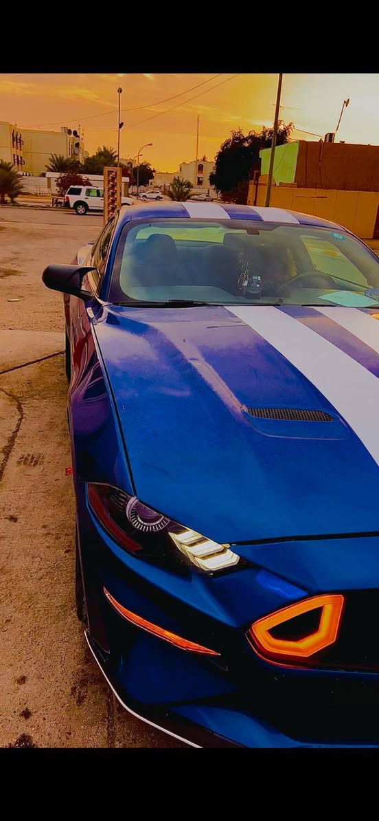 موستنك 2018 وارد أمريكي 
3 قطع صبغ 
سعر 140وبيه مجال 
***********
