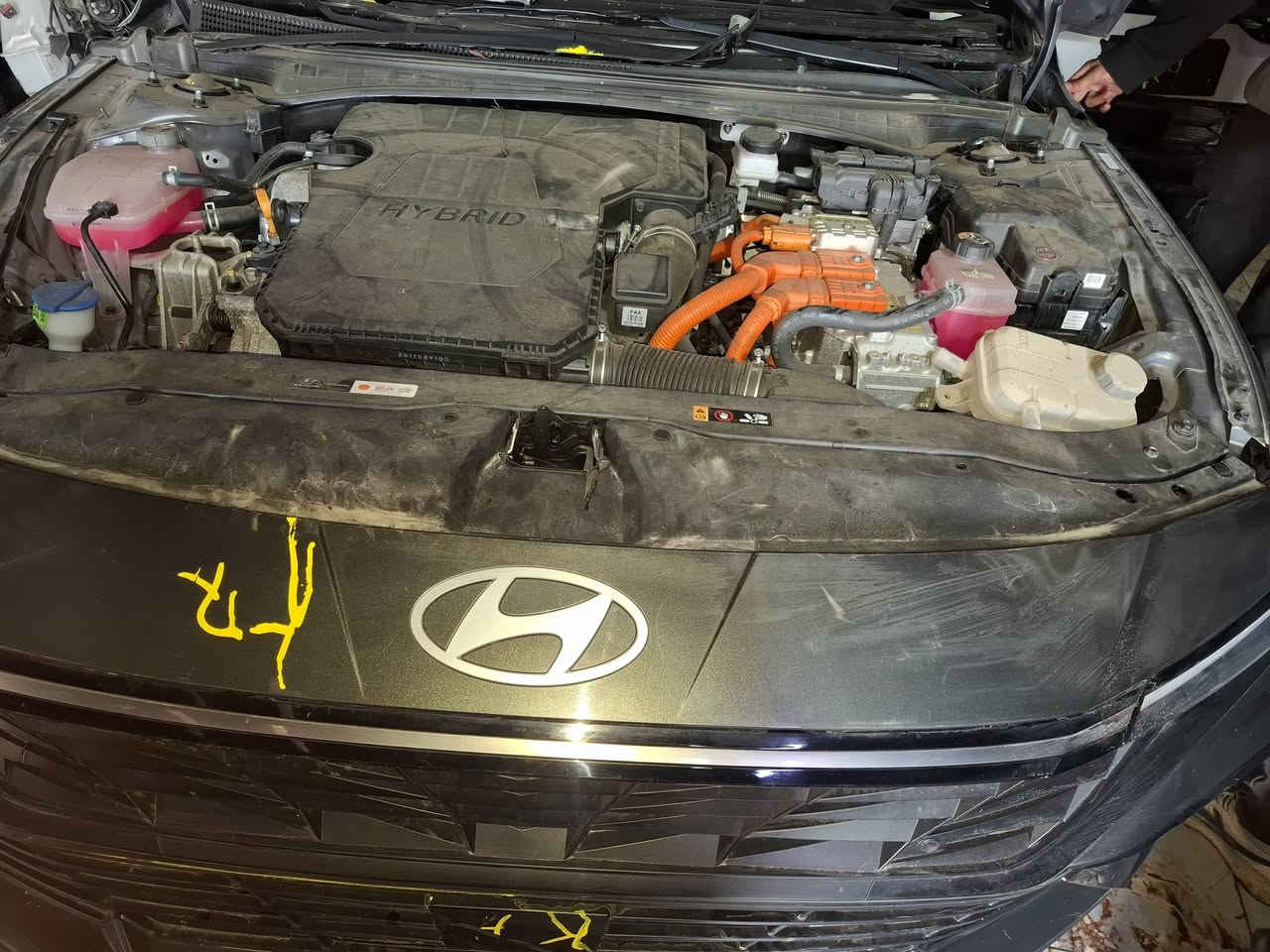 مجمع الامين
لتجارة قطع غيار السيارات الكورية وارد امريكي
تتوفر جميع قطع غيار السيارات الكورية
بغداد الحسينية
***********
