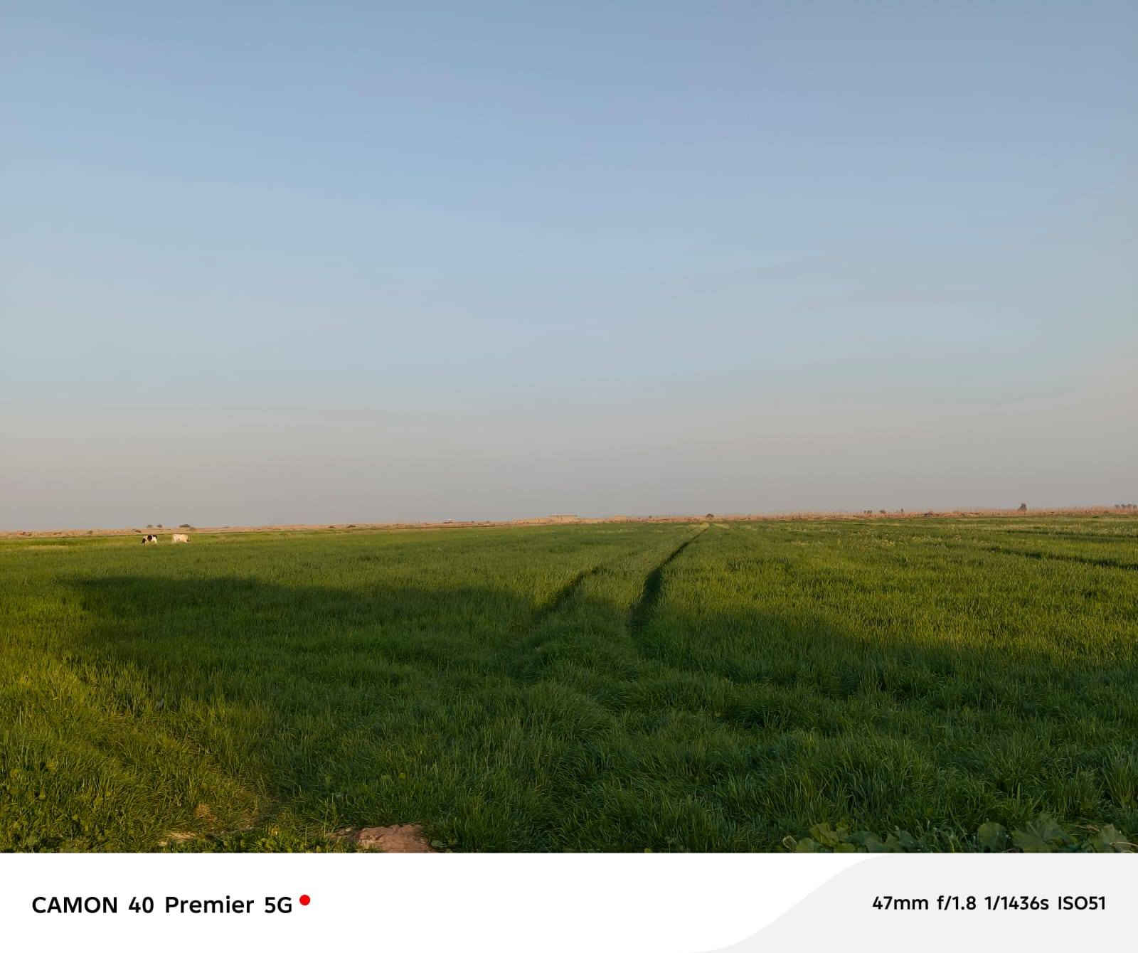 أرض زراعه ١٧دونم صدر ماء وكهرباء مدارس بتدائيه ومتوسطه وعداديه تبعد المدارس 300متر.  تبليط يبعد 20.  متر

***********

***********
