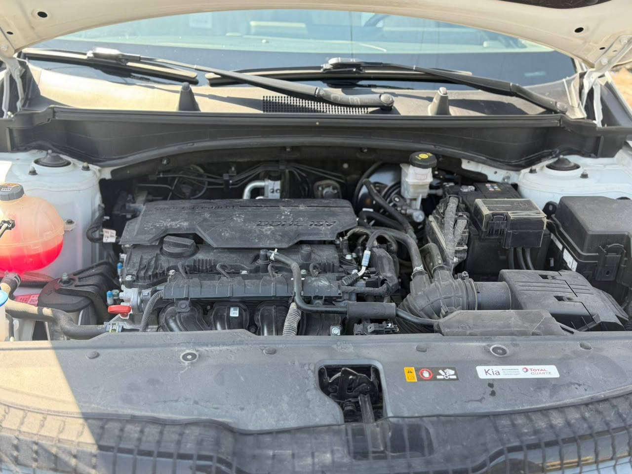 خليجي فول بغداد, العراق
