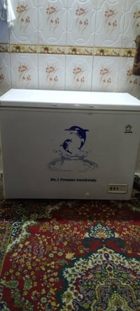 مجمدة • أم دولفين • حي نصر الثانيه