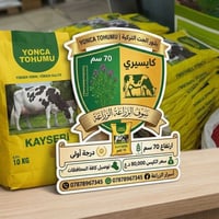 🌿 لماذا بذورنا هي الأفضل؟ ​إنتاجية عالية: صنف Kayseri الأصلي لضمان وفر...