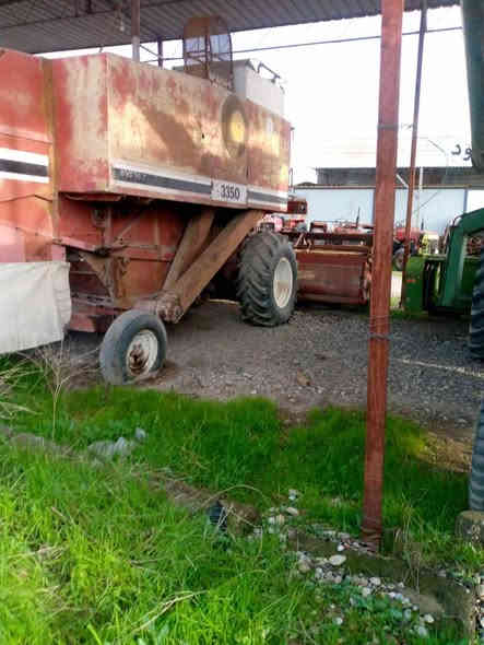 السلام عليكم حاصوده لافيرده موديل ٨٥ للبيع للاستفسار الاتصال على الرقم ***********
