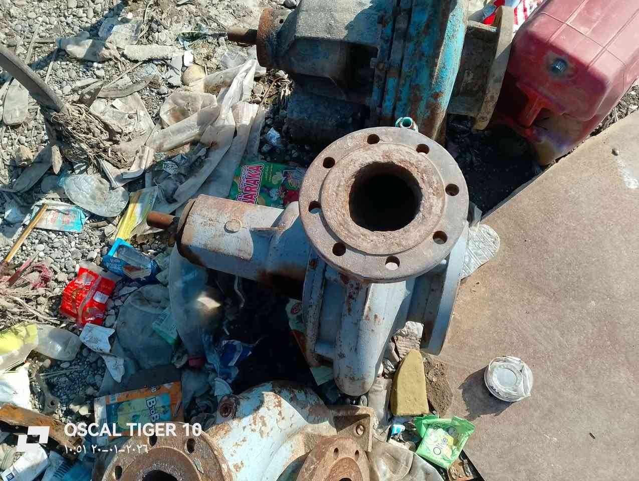 السلام عليكم خنزيرات للبيع كلشي مابيه المكان جنوب الموصل حمام عليل ***********==***********
