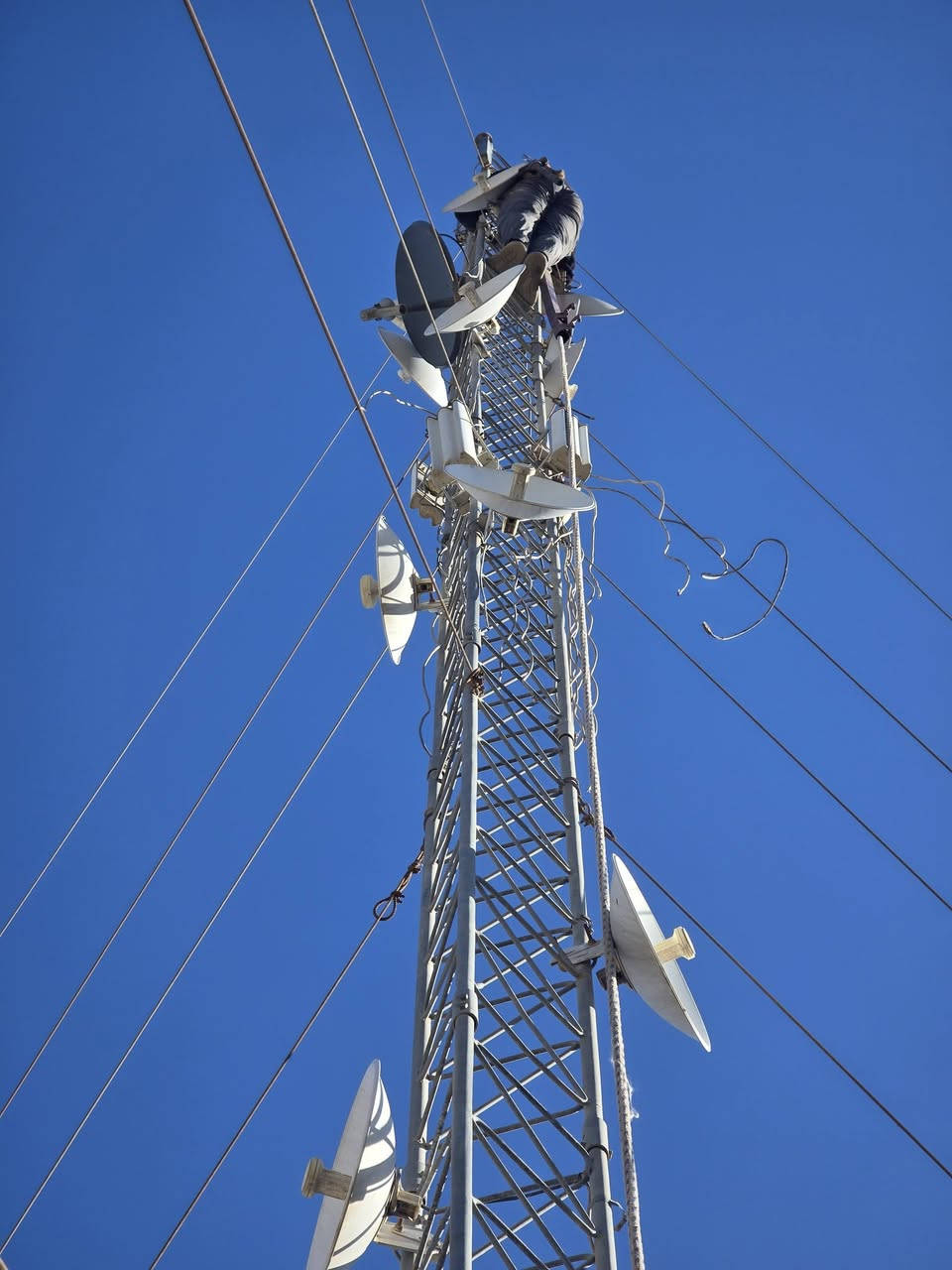 تم تفصيخ ونصب ٢٤ م كربلاء.
***********
علاء
