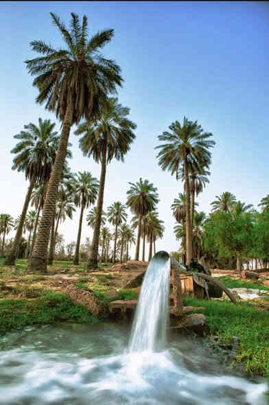 اخويه العزيز جايبلك عرض ابد ميضيع ✅
جايبلك 5 دوانم سعرهن كلهن ب 25 فرصه ذهبيه
يعني ال 5 دوانم شلعه ب 25 مليون فقط تواصل 
متوفر واتساب بلأرقمام التاليه
 طابو سند 25 اصولي على شارع 10 مترات وواجهيه
الدونم الواحد 50×50 مربع منطقة امينه وسكينه
وزراعيه العنوان تاجي مقابيل مدينه سبع البور 
منطقة الشيخ عامر بلعيساويه خلف السور كامله
خدمات تفتر المنطقة كلهه وما تلگه بهيج سعر
والارض طابو سند 25 فتح بيان بأسم المشتري
 تواصل واتساب متوفر بلرقم
***********
***********
