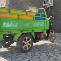 ستوتة فرس لبيع رقم 07711436554