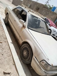 كرستا • مكفوله • بصره الزبير