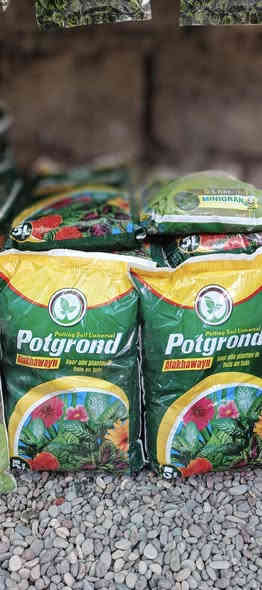 تـم تـوفـيـر تـربـة بـتموس يـم مـشـتـل دومـيـز 🤍🔥
💜بتموس خمسه لتر ب2000 🔹
💜بتموس 10 لتر ب3500🔹
يوجد توصيل كافة احياء الموصل 💜🔥
شكراً لاختياركم #مشتل_دوميز
جـمـال حـديـقـتـك🖤 يـبـداء مـن مـشـتـل دومـيـز🌳
♦#....بيش يبيعون اني ارخص.منهم💪
♦ العرض مستمر لحين.انتهاء الكميه💥💥💥💥
          💞#مشتل_دوميز💞
♦موصل الايسر •حي الساهرون
♦🔥🖤━شارع_✘✘_المولدات━🩵🔥
       موصل الايسر #حي_الساهرون شارع المولدات
♦✧════•❁❀❁•════✧
للحجز والاستفسار واتساب فايبر
♦***********
✧════•❁❀❁•════✧
متوفر توصيل داخل #الموصل_الحبيبه🩵🫂
♦***********واتساب فقط

#مشتل_دوميز #نباتات_منزلية #نباتات_داخلية #تجهيزات_زرع #نباتات_الموصل #ديكور_نباتي #عشاق_النباتات #نباتات_ظل #نباتات_زينة #موصلنا_خضرا #نباتات_للبيت #تنسيق_نباتات #هدايا_خضراء #نباتات_وعناية #AL_MOSUL
