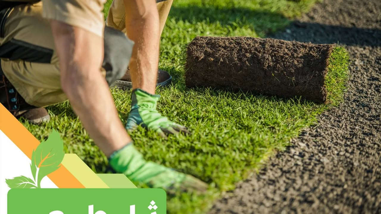 مميزون بما نقدم🍃🌱
🍁يتوفر لدينا كافة انواع الثيل الطبيعي . 
🍁التوصيل لكافة المحافظات 
🍁يتوفر لدينا الثيل:
الثيل الهندي - الثيل الاسباني - الثيل الايطالي - الثيل الفرنسي 🔰

🍁(مستعدون لتجهيز الحدائق المنزلية و الملاعب الرياضية و المنتزهات و الدوائر الحكومية بكادر مختص مميز يجيك لباب بيتك 
   
#بـــأسعار #تنافسية 
🍁للحجز والاستفسار عن الاسعار الاتصال بنا على الرقم
 ‏‪/***********‬‏ ***********
