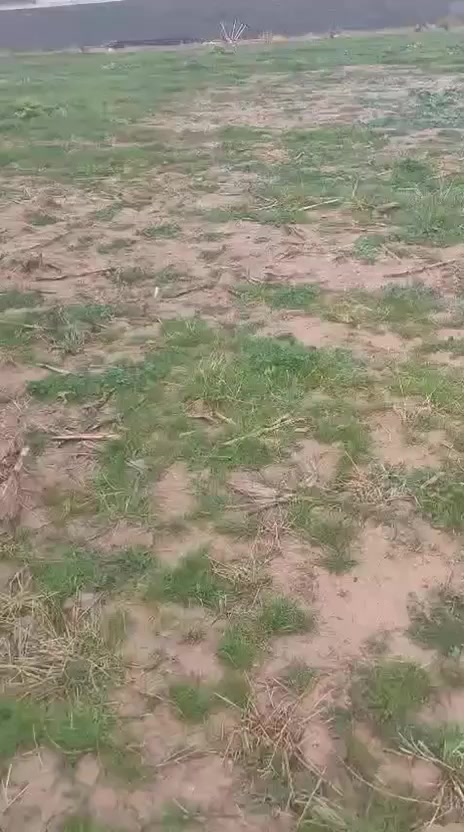 قطعة أرض المساحة واحد(1) دونم (زراعي)) (الموقع-الحويجة طريق كركوك--قرب بستان الزيتون))
للأستفسار (***********)
