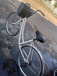 بسكليت • الرمادي