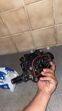 ولف حماوه كونه ٢٢