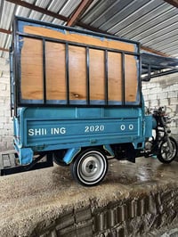 ستوته • مديل 20 • أوراق كاملة