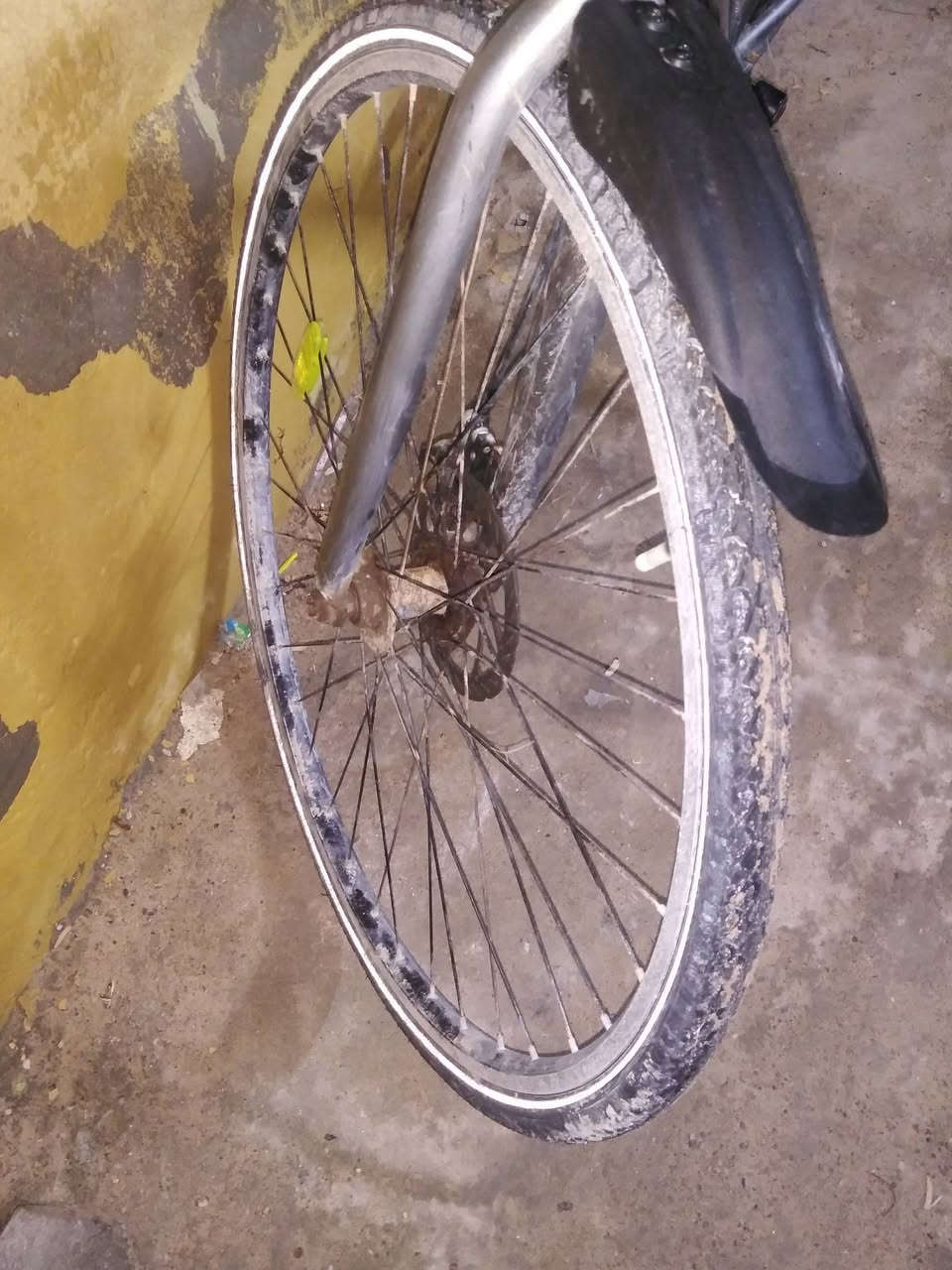 سلام عليكم باسكل جبلي للبيع السعر خاص


**إذا كنت صاحب هذا الإعلان وتريد حذفه لأي سبب، رجاءا أرسل رسالة إلى الدعم الفني**