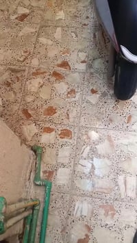 دراجة بريز بغبغاء ياباني جديدة لوك  سرعة 140+ نوزل + خطين + اسلف اصلي ...