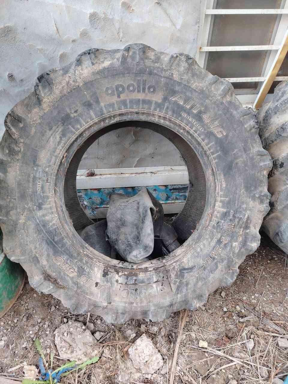 زوج تايرات جوب ياباني كوماتسو حجم 24_9. 16 كربلاء الحسينيه الإمام عون للبيع ***********  
سعر 500
