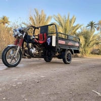 ستوتة صقر • موديل 18 • اوراق اصولي