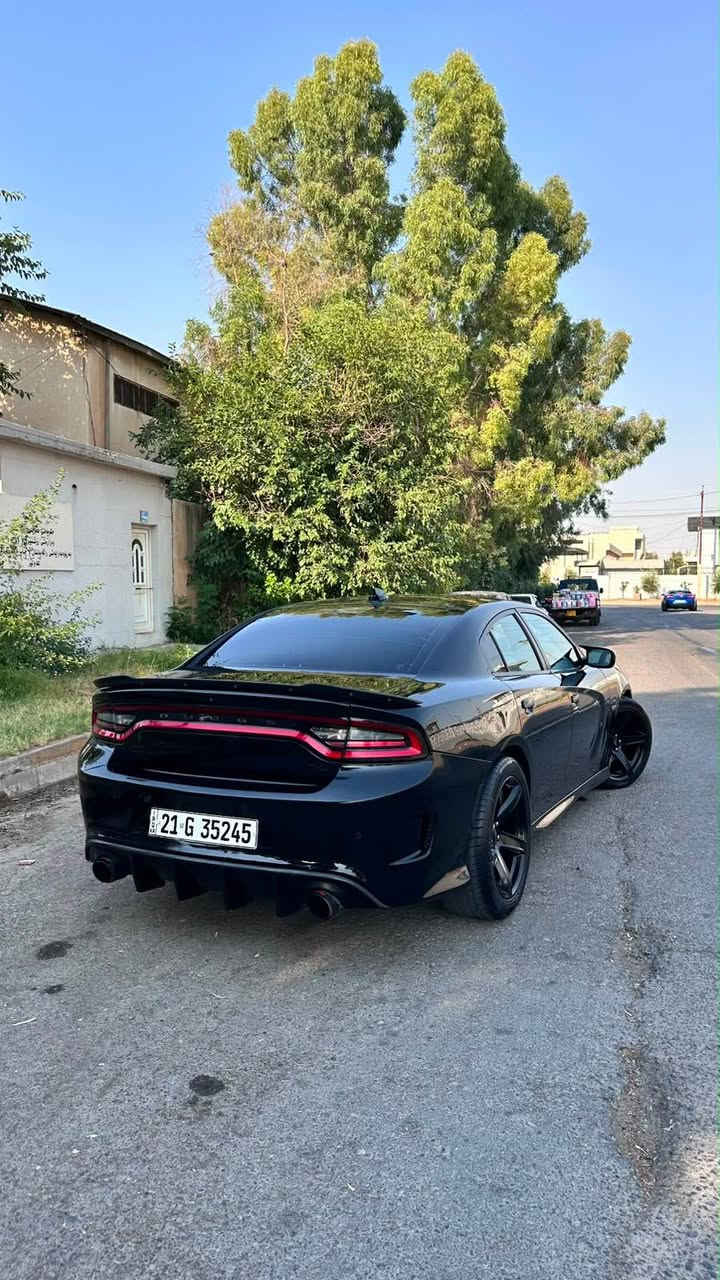 بدون سبوخ شوية بارض و اكو تلقة في امريكا
*********** أربيل, العراق

