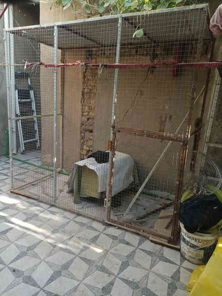 لبيع قفص الطيور جديد مامستخدم طول مترين ولرتفاع مترين مكاني نجف رضويه سعر 100الف***********
