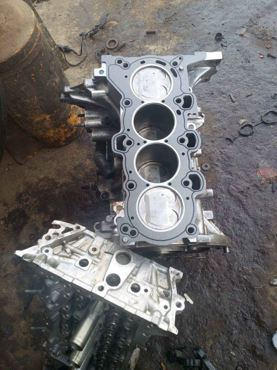 فيترية سيد مرتضى
لتجفيت كافة أنواع السيارات 
بانزيخانة الشموس مجاور العيساوي ابو سيراميك
***********
تم تبديل كازكت مع كص الكور والسلندر وتبديل تخم براص بيرن بكن وتخم وأشر وغسل سياره النترا 2017امريكي
