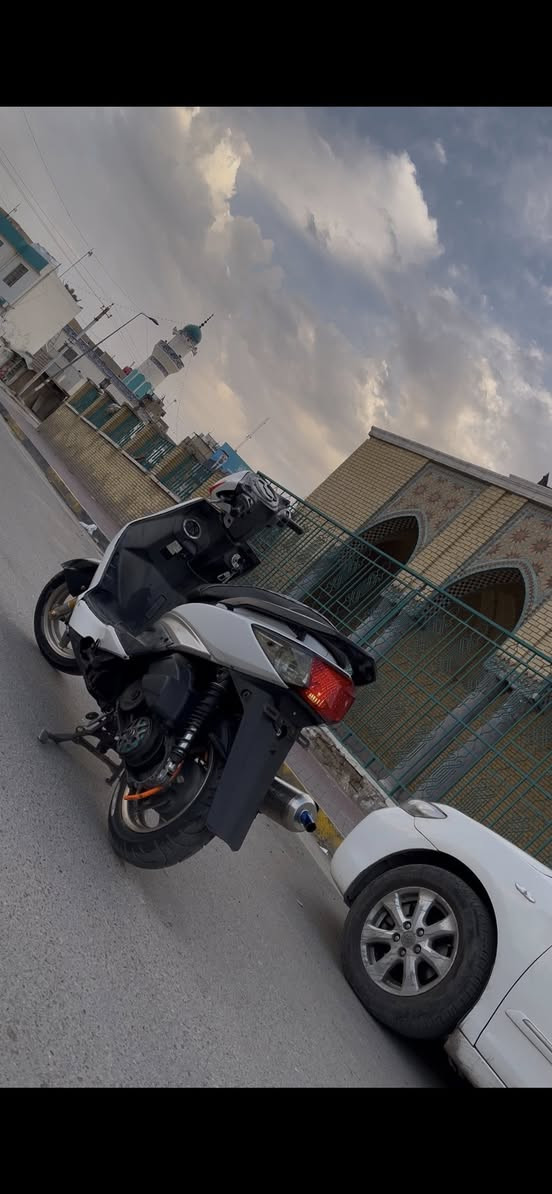 سلام عليكم سكنس فحل للبيع او مراوس دراجه كلش حلوه بوشه58ونص كلجات رياضي صالنصه بوري عدل صدر وفج وصينيه رياضي هاوزن رياضي لايت عالي ناصي زنون شلعه معدل نكره سلف بكل وقت باقي تفاصيل خاص او اتصل مكاني بغداد الاعضميه رقمي***********
