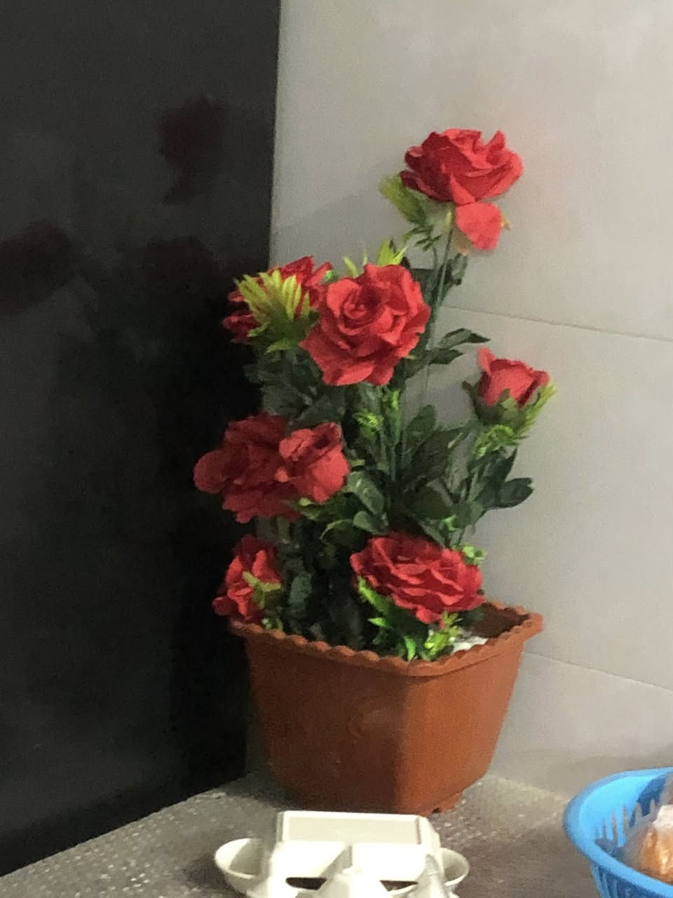 قطع اخيره السعر جدا مناسب سته سنادين الشراي خاص يغدااد الشعب


**إذا كنت صاحب هذا الإعلان وتريد حذفه لأي سبب، رجاءا أرسل رسالة إلى الدعم الفني**