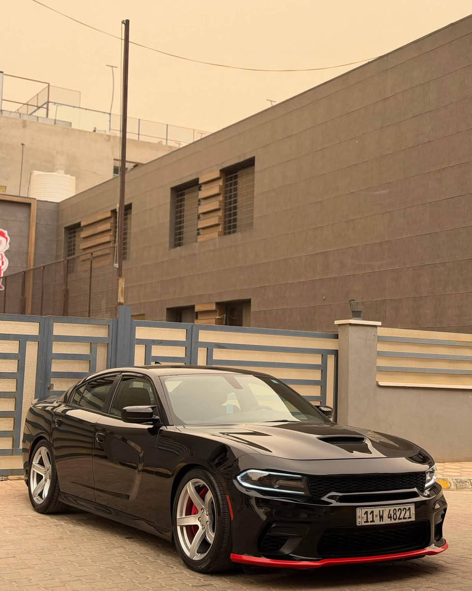 الحلال للبيع للبيع

دوج جارجر 2018 Rt  v8. 5700cc   لون اسود ملكي

رقم بغداد 11 الجديد بسمي تحويل مباشر

جاهزه من كلشي  حادث امريكا جاملغ وبنيد فقط. وهنا جاملغ خلفي صبغ بدون دواخل 

مبدل البنيد  بدون صبغ  نفس الون

 ماشيه 110 الف  كير مكينه حداديه تبريد كله كفاله جاهزه من كلشي

على كت كامل تحديث SRT  

المواصفات و الاضافات 

🥷كشنات حضن

🥷تدفئه كشنات 

🥷استيرن تدفئه

🥷شاشه جبيره +تحديث srt

🥷تبريد خلفي 

🥷شفتات ستيرن

🥷مرايه قلاب للضوء 

🥷دعاميه امامي خلفي srt 

🥷دوس جانبيه srt

🥷سبويلر srt

🥷مرايات باتمان

🥷لحيه اماميه srt وايد بدي بدون نفخات

🥷🏽دركه كاربون فورجد

🥷دفيوزر srt

🥷 تخم ويل نجمه اصلي خسفه قويه  2 سايز مع تخم تاير جديد 

🥷دبات صوت srt بلادي موبار بوابات بلادي كزوز نغمه تخبل

🥷برمجه كامله سيفتي 

الخ من المواصفات…. 

السياره لله الحمد جاهزه و باسمي تحويل مباشر

هزه و رقم انكليزي بغداد 

مع باتري جديد 

السعر (178 $ )و بيها مجال بسيط و ما اتوقع اكو بهيج سعر و بهل نصبه و النظافه 

للتواصل ***********

مكان السياره النجف الاشرف
