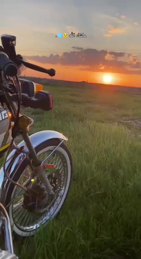 سلام عليكم دراجه تايكر للبيع موديل 25 كفاله عامه أوراق كمله محرك صبانه مامدوده عليه دراجه نقصهاا بس خيال تجي شغل وتطلع وين متريد فقط فقط شاشة محتركة مثل ماموضح بل صوره سعر 650 وبي مجال مكاني ديالى ناحية العظيم شراي يتصل على رقم *********** 🫡
