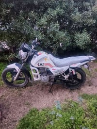 سنكي • موديل 2018 • نقصة زنجيل